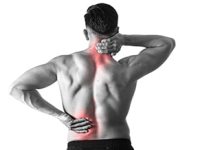 Bid Adieu to Back Pain With Chiropractic&nbsp;Treatments